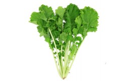 有机苔菜 薹菜 新鲜蔬菜 绿叶蔬菜 250g